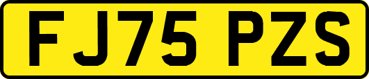 FJ75PZS