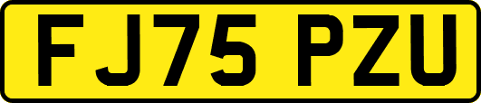 FJ75PZU