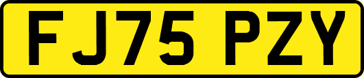 FJ75PZY