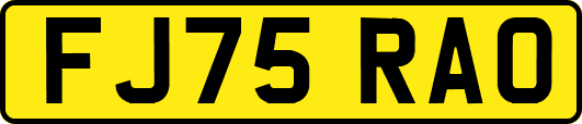 FJ75RAO