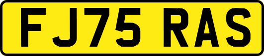 FJ75RAS