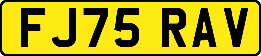 FJ75RAV