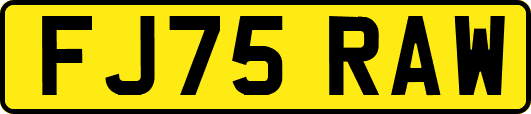 FJ75RAW