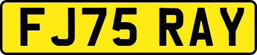FJ75RAY