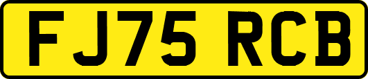 FJ75RCB
