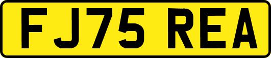 FJ75REA