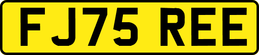 FJ75REE