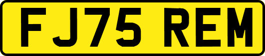 FJ75REM