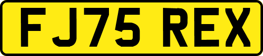 FJ75REX