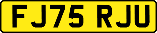 FJ75RJU