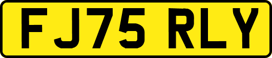 FJ75RLY