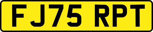 FJ75RPT