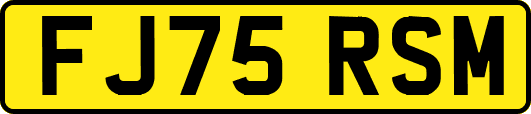 FJ75RSM