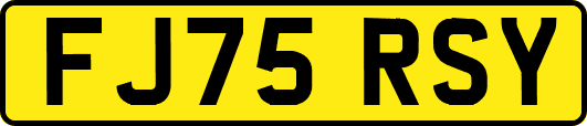 FJ75RSY
