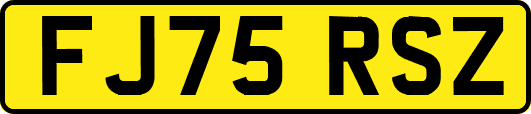FJ75RSZ