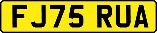 FJ75RUA