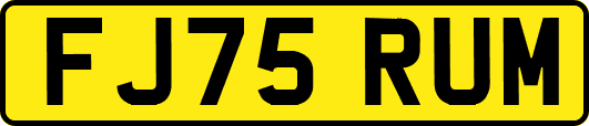 FJ75RUM