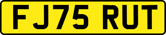 FJ75RUT