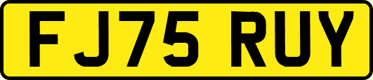 FJ75RUY