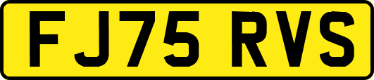 FJ75RVS