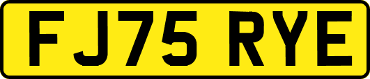 FJ75RYE