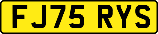 FJ75RYS