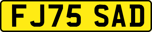 FJ75SAD