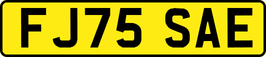 FJ75SAE