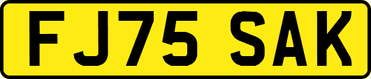 FJ75SAK