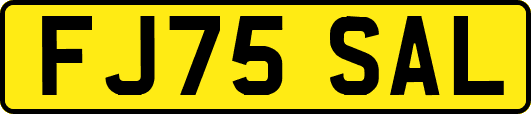 FJ75SAL