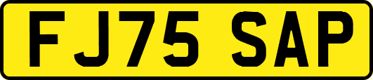 FJ75SAP