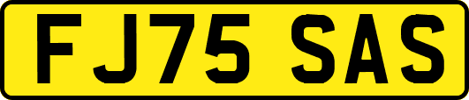 FJ75SAS