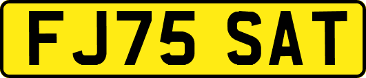 FJ75SAT