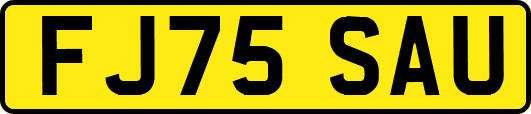 FJ75SAU