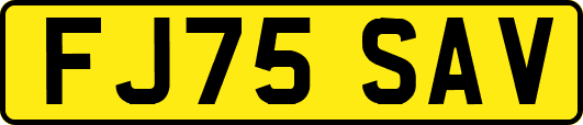 FJ75SAV