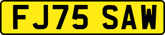 FJ75SAW