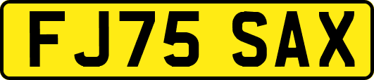 FJ75SAX