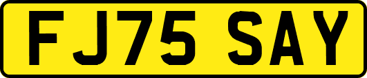 FJ75SAY