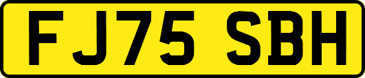 FJ75SBH