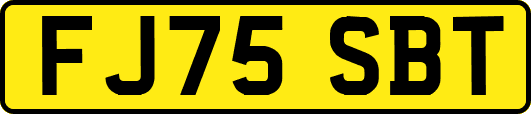 FJ75SBT