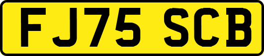 FJ75SCB