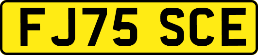 FJ75SCE