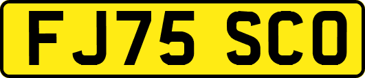 FJ75SCO