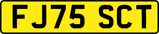 FJ75SCT