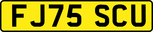 FJ75SCU