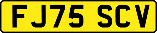 FJ75SCV