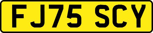 FJ75SCY