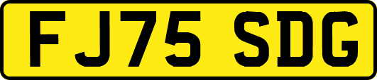 FJ75SDG
