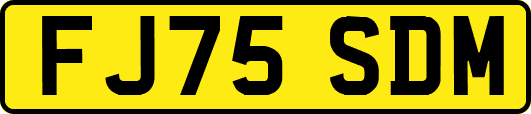 FJ75SDM
