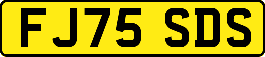 FJ75SDS